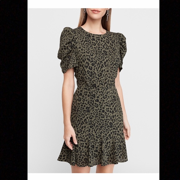 Express Leopard Dress - Picture 2 of 4